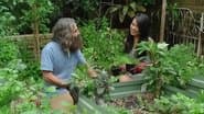 Episode 13 Apartment Garden, Tough Natives, Hunter & Taro