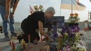 Серія 94
