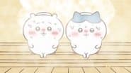 Cold Bath / Citric Acid