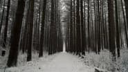 A Sasquatch Spotted in Siberia and More