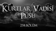 Серія 29