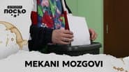 2324 Mekani mozgovi