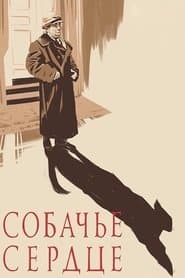 Собаче серце