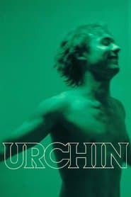 Urchin