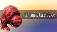 Guide to owning a pet Trimming