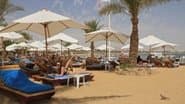Terror Over Egypt