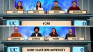 York v Northeastern University - London