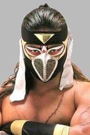 Hayabusa
