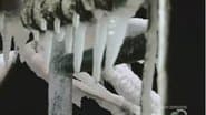 Серія 10