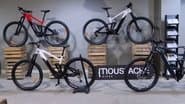 The Black Market for Bicycles