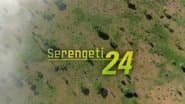 Серія 11