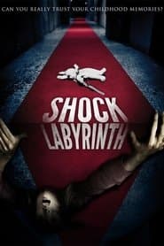The Shock Labyrinth