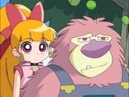 Coach Kaoru's Crash-Course Soccer! / Fuzzy in Love!