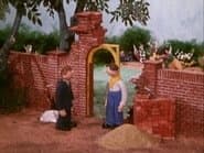The Garden Wall