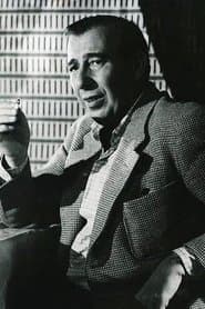 Steinmetz