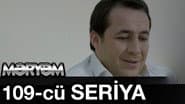 Серія 109
