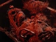 Серія 21
