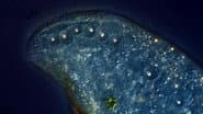We Dipped Our Lens in Oil to See More Detail
