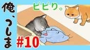 WEB Animation - #10 Coward