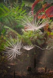 Dandelion's Odyssey
