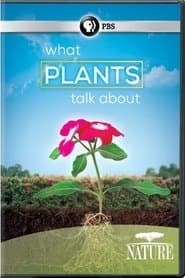 PBS NATURE: What Plants Talk About