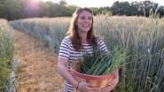 Onions and Avetts