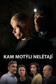 Kam motýli nelétají