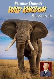 Season 16