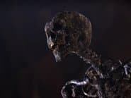 Them Bones, Them Bones