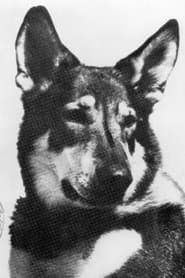 Duke, the Dog (uncredited)