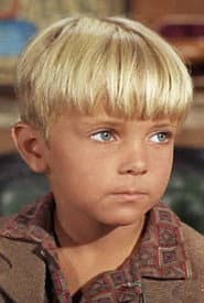 Gavin MacKenzie