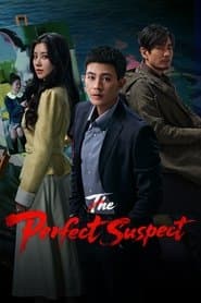 The Perfect Suspect
