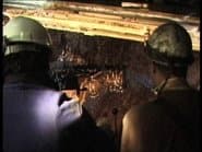 Серія 238