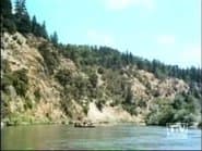 The River (2)
