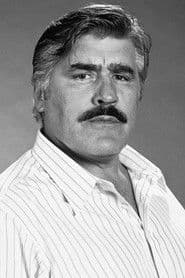 Sorel sen.