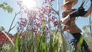 Episode 23 Sand, Shorebirds, Houseplants, Bendigo & Rescue