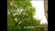 Серія 25