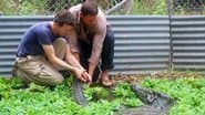 Australia 2