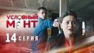 Серія 14