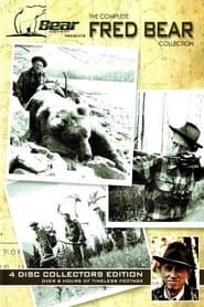 Bear Video Theater