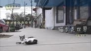 Серія 27