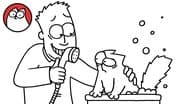 Missing Cat, Part 1: Bathtime