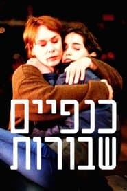 Knafayim Shvurot