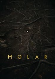 Molar