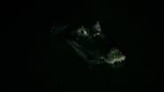 The Deadliest Encounters
