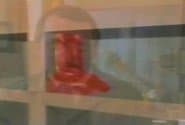 Серія 14
