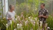 Episode 3 Rust, Shade, Dementia & Sarracenia
