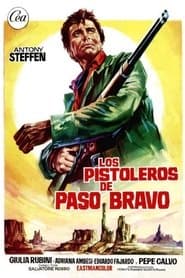 Uno straniero a Paso Bravo