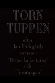 Torntuppen