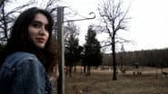 Серія 3